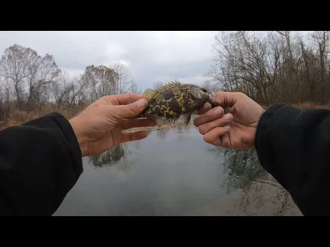 Nice shadow bass. I wasn't sure what it was at first.