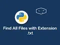 find all files with extension txt in python