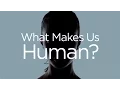 Lagu What Makes Us Human? | Insight with David Hulme