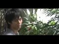 Download Lagu [MAD] Kamen rider Kabuto