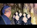 Download Lagu Merinding.!! ditemukan markas siluman babi ngepet yang meresahkan warga di jawa tengah