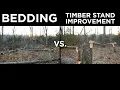 Bedding Cuts And TSI For Deer WHAT S THE DIFFERENCE
