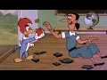 Lagu The Perfect Student | 2.5 Hours of Classic Cartoons | Woody Woodpecker