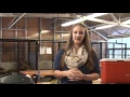 ACATEC Profile Story on Vet Tech