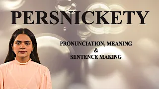Persnickety - Meaning