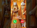 Download Lagu Wren calling 🤙🏻✨ #ringtone #cat #trending #cutecat #calling #foryou #youtube #youtubeshorts #kittens