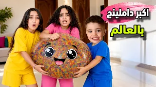 اكبر داملينج بالعالم واصعب تجربه خيبه امل ل جوان و روزا