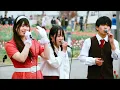 [A cappella - 2 songs] Watashi no Kare wa Hidarikiki / Megumi Asaoka - Aoi Sangosho / Seiko Matsu...