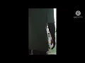 Download Lagu kok Kayo Kayo lah surang..!
