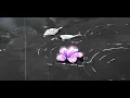 Hyper Act. - Harapan (slowed & reverb)