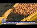 Chicago Ducky Derby for Special Olympics Illinois makes quite the splash