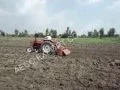 Massey Ferguson Tractor Spare Parts