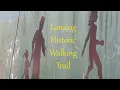 Historic Lansing Walking Review