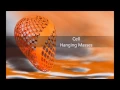 Cell - Hanging Masses