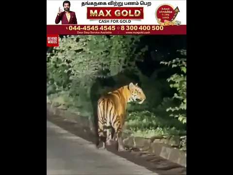 ROAD-ல கண்முன்னாடி இப்படியா...எதிர்பார்க்காத ஷாக்