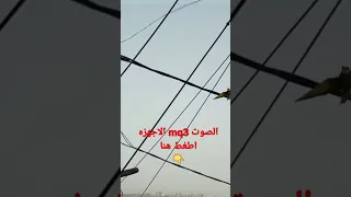 صوت لصيد الورور 