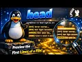 Common Cloud Linux Commands head Command