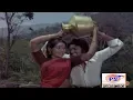Download Lagu சின்ன சின்ன வீடு கட்டி படத்தின் அனைத்து பாடல்களும் ||Chinna Chinna Veedu Katti || All Song