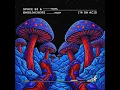I'm On Acid (Extended Mix)