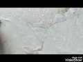 1953 Formica Top Table Restoration part 2