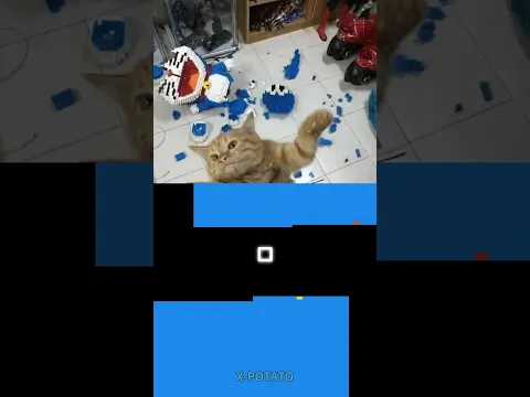 Meow Meow | Xpotato Bouncing Square