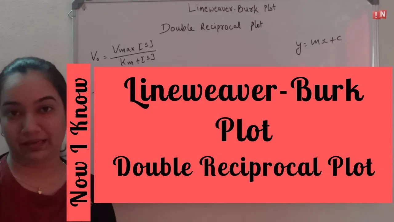 Lineweaver Burk Plot – Double Reciprocal Plot