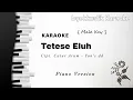 Download Lagu TETESE ELUH || Karaoke Versi Piano [ Male Key ]