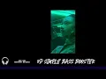 Megan Thee Stallion - Cobra | Bass Boosted🔊 [Best Version]