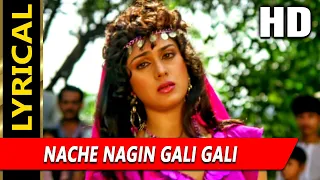 Download Nache Nagin Gali Gali With Lyrics | नाचे नागिन गली गली | साधना सरगम | Meenakshi Seshadri, Nitish MP3