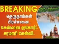 Download Lagu தெருநாய்கள் பிரச்சனை.. சென்னை ஐகோர்ட் சரமாரி கேள்வி..