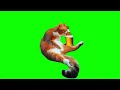 Cat drinks alcohol Green Screen