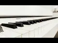 Shinedown - A Symptom Of Being Human (piano backing track)