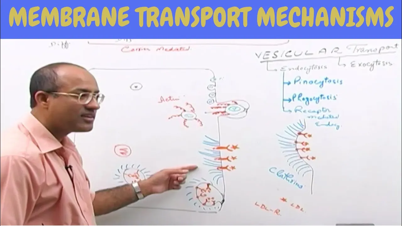 Cell Membrane Transport - Plasma Membrane Transport