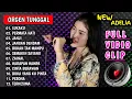 Download Lagu LUKAKU FULL VIDIO CLIP ALBUM NEW ADELIA |Bass Mantap Nonstop