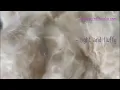 Kapok Fiber