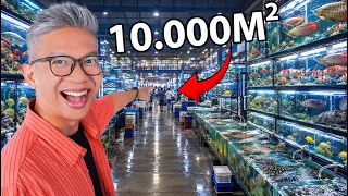 AKU PERGI KE PASAR IKAN TERBESAR SE-ASIA TENGGARA!!