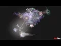 AlphaPoint Development Visualization using Gource July 2013 - Feb 2016