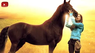 حصان قوي وعنيد بينقذ صاحبته من الموت وبيضحى بنفسه عشانها   ملخص فيلم        دندنها