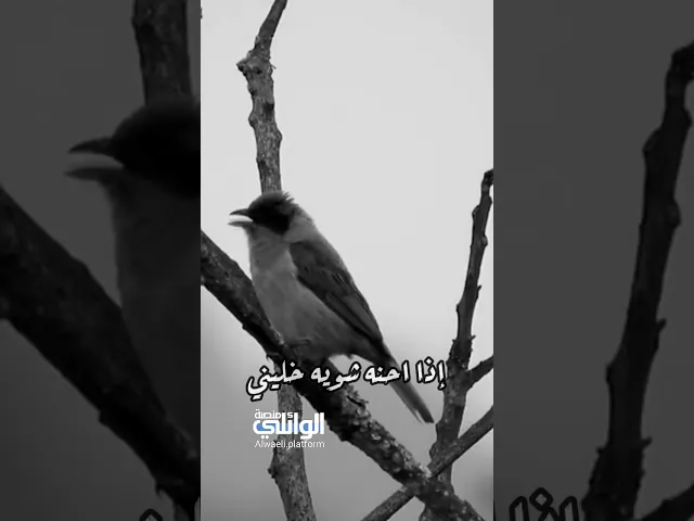 كلام رائع عن الصلاة | د.احمد الوائلي