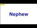 Nephew Meaning Definition of NEPHEW Dictionary