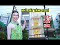 Download Lagu Cận cảnh Nhà dát vàng 10 tỉ của Ty Thy đẹp nhất xóm - Ty Thy Vlog Gỏi đu đủ