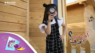 كليب أحب أعرف كامل قناة تغاريد الإنشادية 