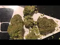 Surterra Tillamook Strawberry Smokable Flower Review Mmj Florida