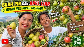 BUAH PIR DAN APEL LIAR MELIMPAH RUAH DI KAMPUNG & MENIKMATI BERSAMA BUJANGKU
