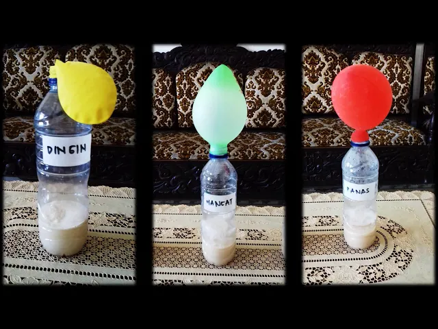 Fermentasi Alkohol Biologi Kelas 12