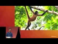 Electron Desktop Apps with Web Languages - GitHub Universe 2016