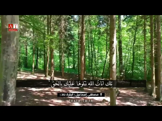 ⁣تِلْكَ آيَاتُ اللَّهِ نَتْلُوهَا عَلَيْكَ بِالْحَقِّ .. || الشيخ مصطفى إسماعيل رحمه الله