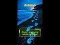 Download Lagu Oh Matahariku – Lagu Pagi Hari Tentang Sosok yang Selalu Dirindukan