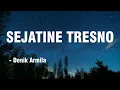 Download Lagu SEJATINE TRESNO - Denik Armila || Cover Akustik || Lirik