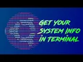 Get Your System Info in Terminal Command Line Linux Terminal Neofetch